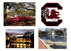 thomas cooper library photo collage